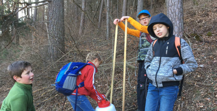 Wässerung der Jungbäume