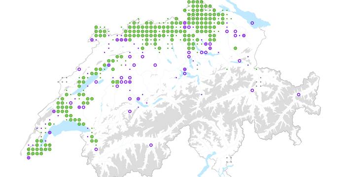 Verbreitung der Elsbeere in der Schweiz (2012)