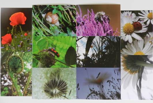 Die zehn Motive des Postkartensets